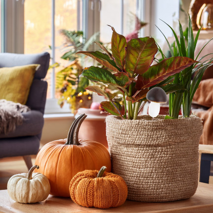 Grzybki dekoracyjne na piku, piankowe, brązowo-białe, z drucikiem, zestaw 6szt. 