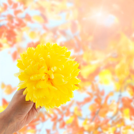 CV36941-6 CHRYZANTEMA DUŻA GŁÓWKA WYBOROWA SZTUCZNE KWIATY ŻÓŁTA CHRYZANTEMY 12cm