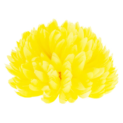 CV36941-6 CHRYZANTEMA DUŻA GŁÓWKA WYBOROWA SZTUCZNE KWIATY ŻÓŁTA CHRYZANTEMY 12cm