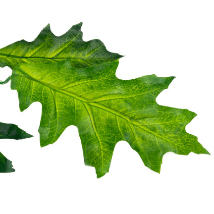 Gałązka z liśćmi dębu, sztuczne kwiaty, zielone, do stroików, do bukietu, jak żywe