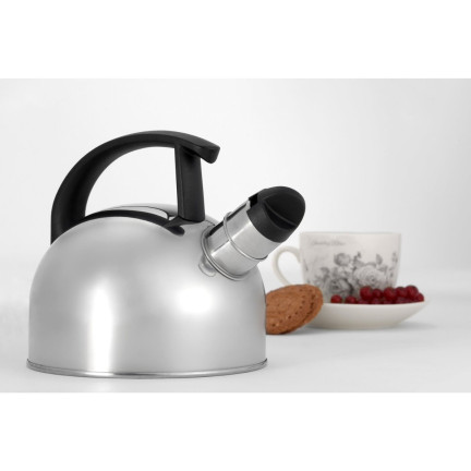 TD20 CZAJNIK STALOWY NIERDZEWNY 1,5l SREBRNY NA INDUKCJE I PALNIK gaz GWIZDEK