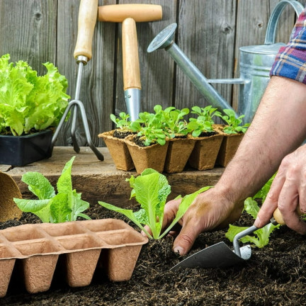 TG67326 DONICZKI Torfowe DUŻE DO ROZSADY Doniczki na Sadzonki Rozsadowe 72szt 6 tacek