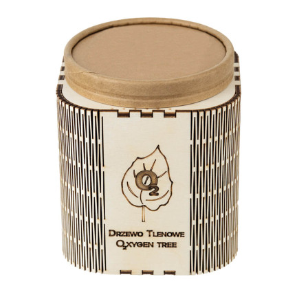 D1232 DRZEWO TLENOWE PAULOWNIA OMSZONA TORAF