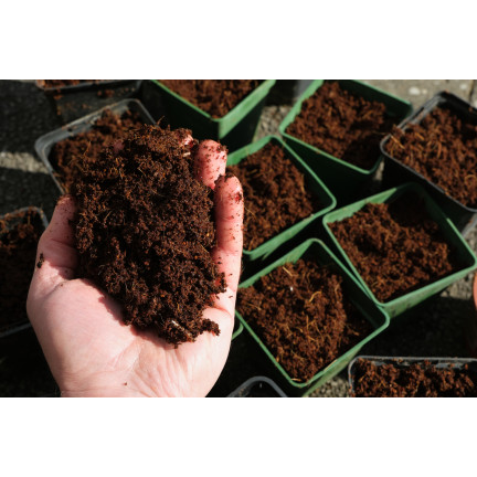 BIO16 BIOVITA COCO PEAT WŁÓKNO KOKOSOWE PODŁOŻE ROZLUŹNIONE 0-10MM 5L