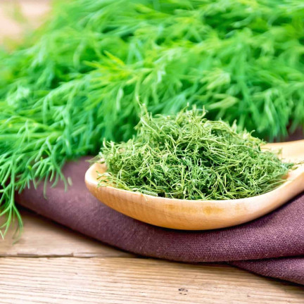 W1093 KOPER NASIONA KOPRU OGRODOWY KREZUS WCZESNY DO KISZENIA 5G