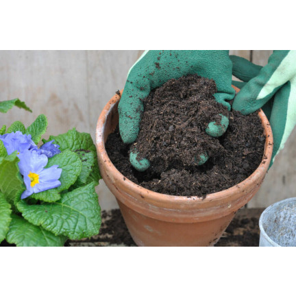 BIO7 ZIEMIA UNIWERSALNA 20L BIOVITA DO KWIATÓW ROŚLIN ZIELONYCH