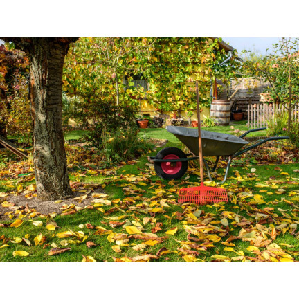 SUM70 SUMIN NAWÓZ UNIWERSALNY JESIENNY 1KG OPTYMALNY SKŁAD