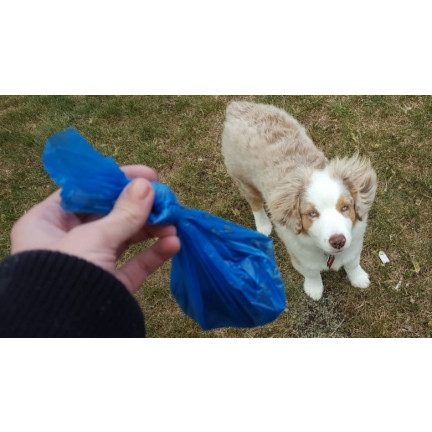 TG63400 WORKI WORECZKI NA PSIE ODCHODY 12 ROLEK - 180szt