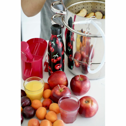 TD28 DRYLOWNICA do WIŚNI czereśni Z PRZYSSAWKĄ do blatu