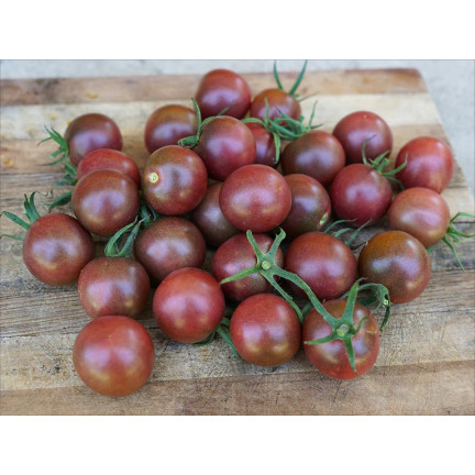 W9558 POMIDOR BLACK CHERRY KOKTAJLOWY WYSOKI GRUNTOWY 0,3G NASIONA POMIDORKI