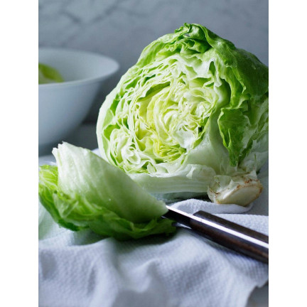 W1212 SAŁATA KRUCHA LODOWA KRÓLOWA LATA WCZESNA NASIONA SAŁATY WARZYW 1G