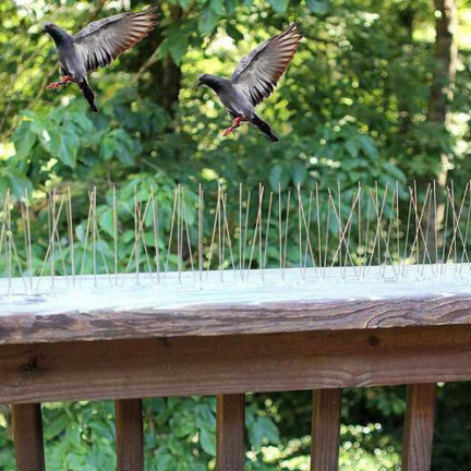 TG63401 NAJGĘSTSZE MOCNE KOLCE NA PTAKI GOŁĘBIE KOLCE PRZECIW PTAKOM NIERDZEWNE 5M