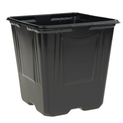 TG67331 DONICZKI PRODUKCYJNE P11 DO PIKOWANIA ROZSAD UPRAW WYSIEWU SADZONKI 5SZT