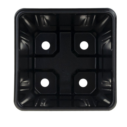 TG67331 DONICZKI PRODUKCYJNE P11 DO PIKOWANIA ROZSAD UPRAW WYSIEWU SADZONKI 5SZT