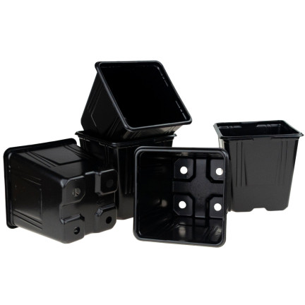 TG67331 DONICZKI PRODUKCYJNE P11 DO PIKOWANIA ROZSAD UPRAW WYSIEWU SADZONKI 5SZT