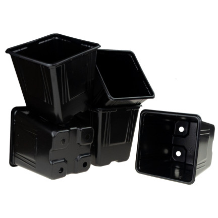 TG67331 DONICZKI PRODUKCYJNE P11 DO PIKOWANIA ROZSAD UPRAW WYSIEWU SADZONKI 5SZT