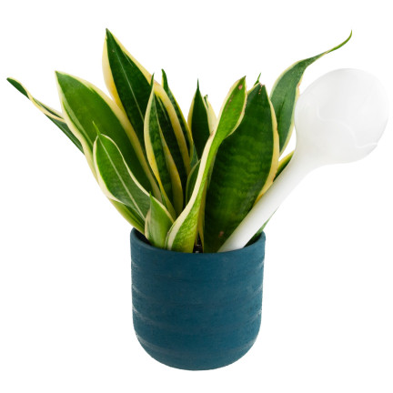 EDA8563-NEW KULE DO NAWADNIANIA DOZOWNIKI WBIJANE KWIATÓW ROŚLIN NAWADNIACZ 2SZT. KULA