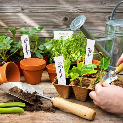 EDA3234 KOMPLET 3 PALETEK DONICZEK TOFROWYCH 24,5X12,5X6CM