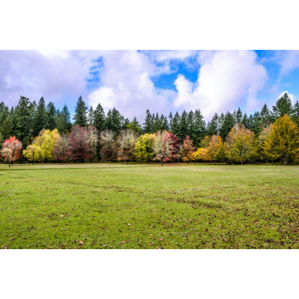 SUM67 NAWÓZ SUMIN DO TRAWNIKÓW JESIENNY 5KG OPTYMALNY SKŁAD