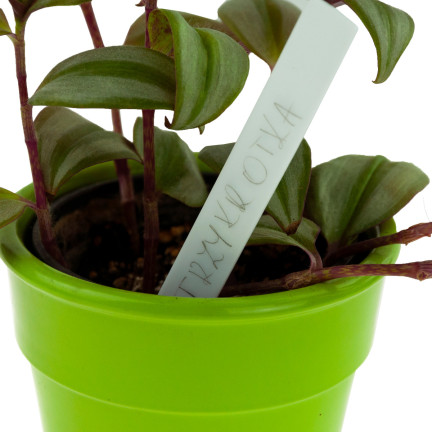 TG60608 ETYKIETY TABLICZKI DO OPISYWANIA ROŚLIN NASION SADZONEK ZNACZNIKI 10SZT/KPL