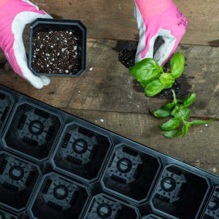 TG67331 DONICZKI PRODUKCYJNE P11 DO PIKOWANIA ROZSAD UPRAW WYSIEWU SADZONKI 5SZT