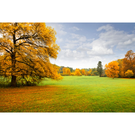 SUM70 SUMIN NAWÓZ UNIWERSALNY JESIENNY 1KG OPTYMALNY SKŁAD