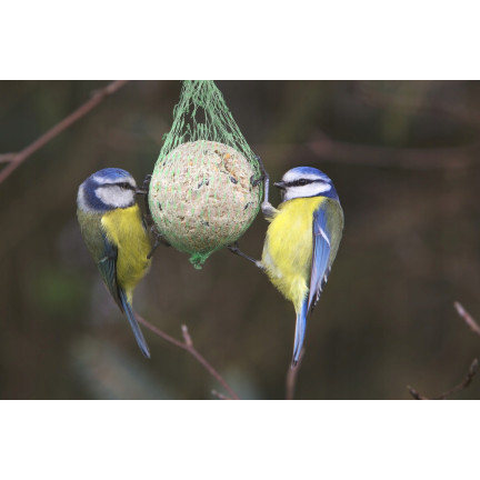 Kula tłuszczowa dla dzikich ptaków, karma dla ptaków zimowa, mieszanka nasion i zbóż, 1szt. 90g
