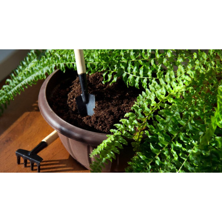 Ziemia do paproci, podłoże do roślin wzbogacone nawozem, optymalny skład, dobry przepływ powietrza, Biovita 5l