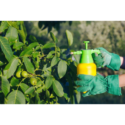 SUM21 SYLLIT 65 WP 45G ŚRODEK GRZYBOBÓJCZY SUMIN