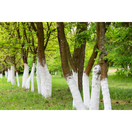 SUM16 WAPNO DO ODKWASZANIA PODŁOŻA 2KG