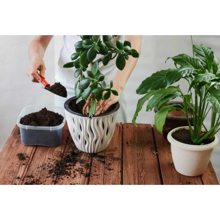 BIO15 ZIEMIA UNIWERSALNA BIO EKOLOGICZNA DO KWIATÓW ROŚLIN 10L Z NAWOZEM