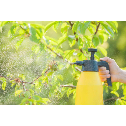 SUM20 MIEDZIAN EKSTRA 350 SC 10ML