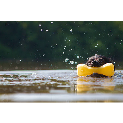 TG56080 GRYZAK KOŚĆ GUMOWA DLA PSA PSÓW ZABAWKA APORTOWA PISZCZĄCA PISZCZAŁKA