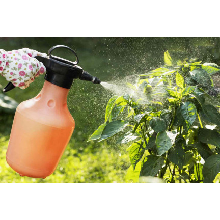 SUM53 LECITHIN EMULGATOR OPRYSK NA CHOROBY GRZYBOWE ROŚLIN DRZEW KRZEWÓW OWOCOWYCH