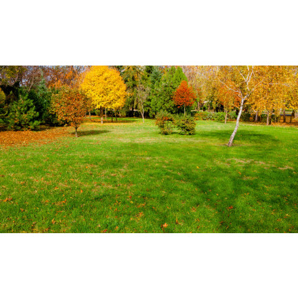 SUM67 NAWÓZ SUMIN DO TRAWNIKÓW JESIENNY 5KG OPTYMALNY SKŁAD