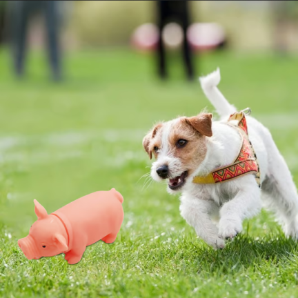 TG56072 GRYZAK ZABAWKA DLA PSA ŚWINKA PISZCZAŁKA ŚWINIA CHRUMKAJĄCA