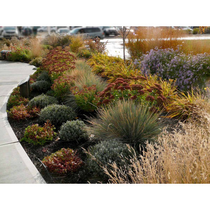 SUM27 NAWÓZ DO TRAW OZDOBNYCH SUMIN 1KG