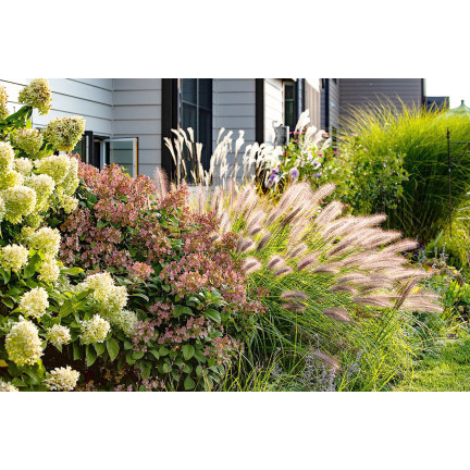 SUM27 NAWÓZ DO TRAW OZDOBNYCH SUMIN 1KG