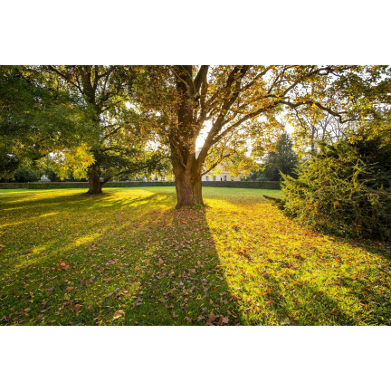 SUM67 NAWÓZ SUMIN DO TRAWNIKÓW JESIENNY 5KG OPTYMALNY SKŁAD