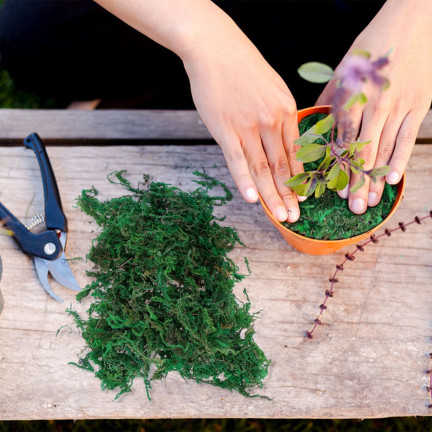 TG39917 MECH SZTUCZNY 30G SYPKI DEKORACYJNY DO STROIKÓW