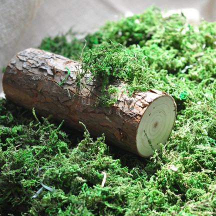 TG39917 MECH SZTUCZNY 30G SYPKI DEKORACYJNY DO STROIKÓW