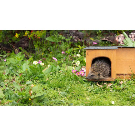 Karma dla jeży wolnożyjących, mieszanka paszowa pełnoporcjowa, bogata w białko, Turdus 500g