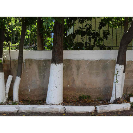 SUM16 WAPNO DO ODKWASZANIA PODŁOŻA 2KG