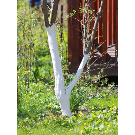 BIO12 WAPNO DO BIELENIA DRZEW DRZEWEK I ODKWASZANIA GLEBY ZIEMI 2KG BIOVITA