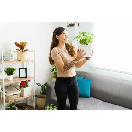 SUM19 NEEMAZAL 5ML PREPARAT NA ZIEMIÓRKI