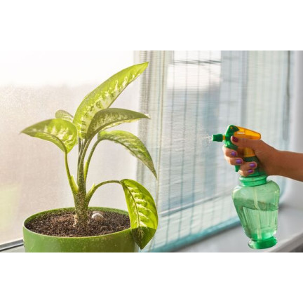 SUM19 NEEMAZAL 5ML PREPARAT NA ZIEMIÓRKI