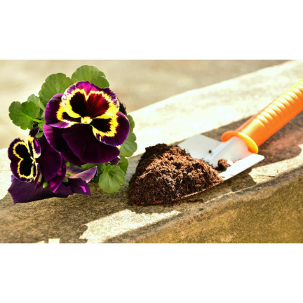 BIO16 BIOVITA COCO PEAT WŁÓKNO KOKOSOWE PODŁOŻE ROZLUŹNIONE 0-10MM 5L