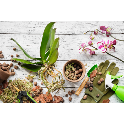 BIO8 NATURALNE PODŁOŻE ZIEMIA DO STORCZYKÓW ORCHIDEI 3L BIOVITA