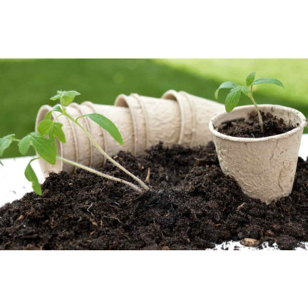 BIO5 ZIEMIA DO WYSIEWU NASION GOTOWA PIKOWANIA ROZSADY Z WŁÓKNEM KOKOSOWYM 5L