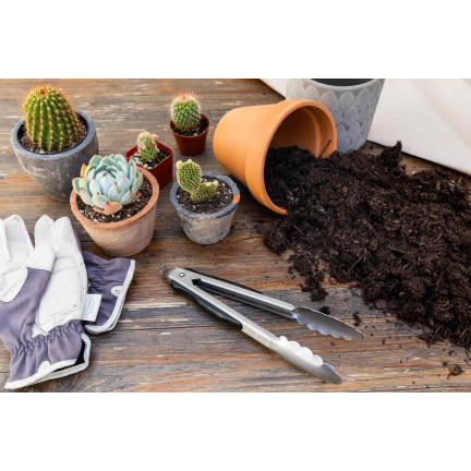 BIO10 PODŁOŻE ZIEMIA DO KAKTUSÓW I SUKULENTÓW ALOESU PRZEPUSZCZALNA 5L